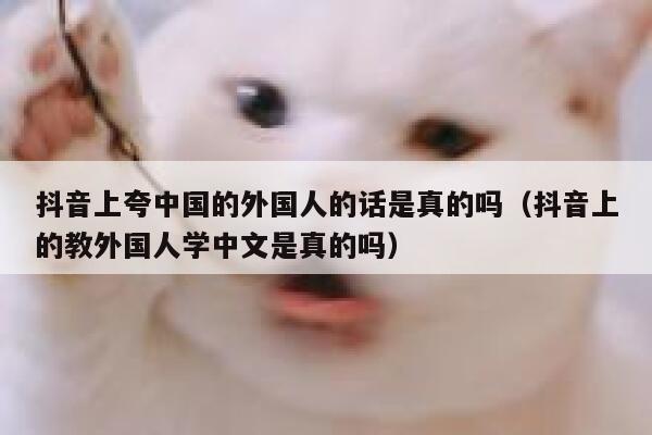 抖音上夸中国的外国人的话是真的吗（抖音上的教外国人学中文是真的吗） 第1张