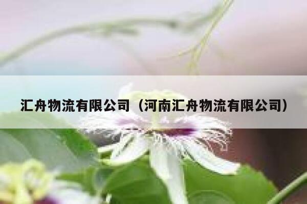 汇舟物流有限公司（河南汇舟物流有限公司） 第1张