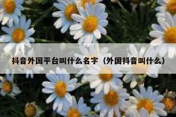 抖音外国平台叫什么名字（外国抖音叫什么） 第1张