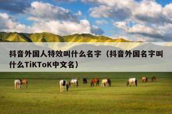 抖音外国人特效叫什么名字（抖音外国名字叫什么TiKToK中文名） 第1张