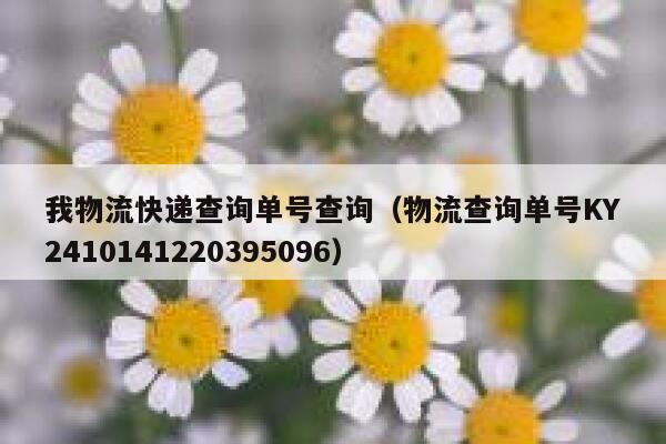 我物流快递查询单号查询（物流查询单号KY2410141220395096） 第1张