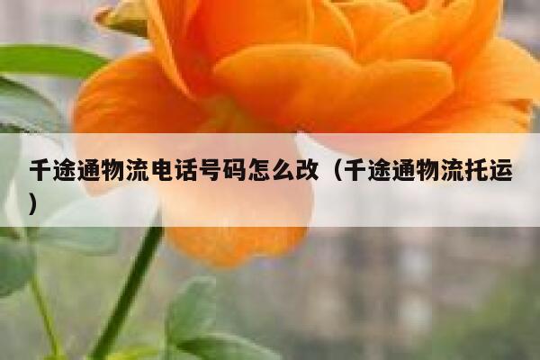 千途通物流电话号码怎么改（千途通物流托运） 第1张