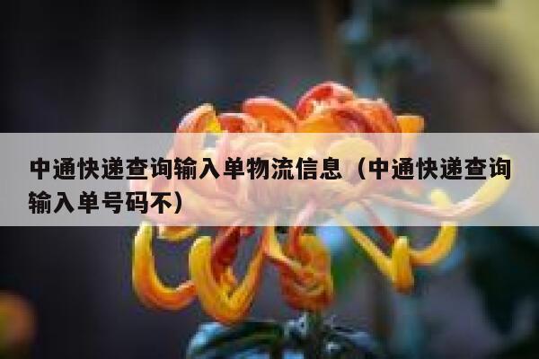 中通快递查询输入单物流信息（中通快递查询输入单号码不） 第1张