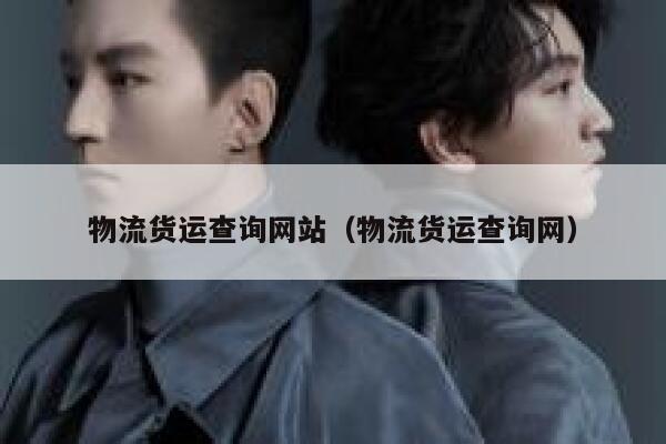 物流货运查询网站（物流货运查询网） 第1张