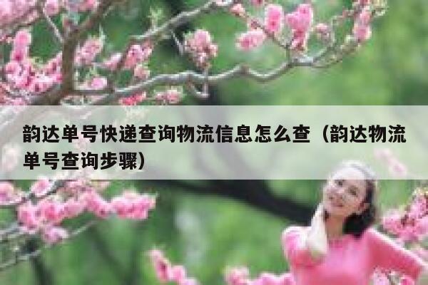 韵达单号快递查询物流信息怎么查（韵达物流单号查询步骤） 第1张