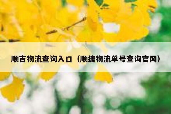 顺吉物流查询入口（顺捷物流单号查询官网） 第1张