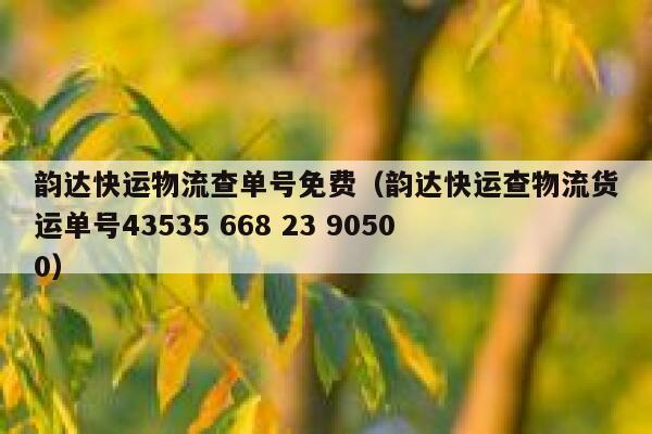 韵达快运物流查单号免费（韵达快运查物流货运单号43535 668 23 90500） 第1张
