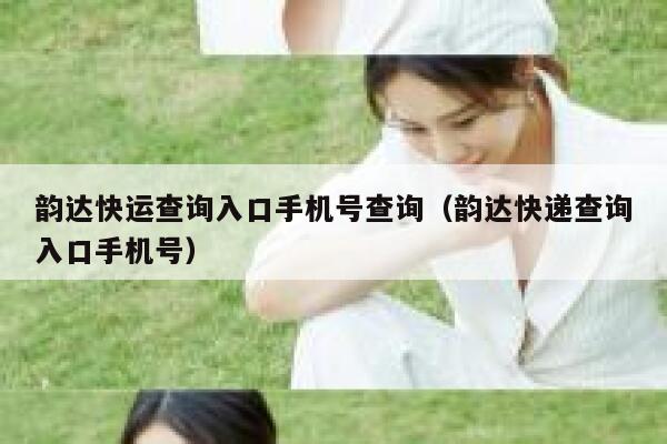 韵达快运查询入口手机号查询（韵达快递查询入口手机号） 第1张