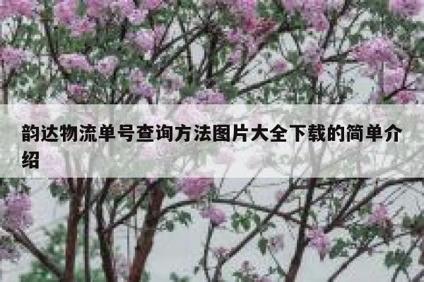 韵达物流单号查询方法图片大全下载的简单介绍 第1张