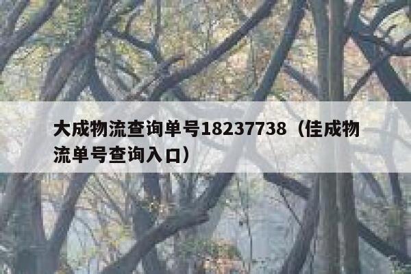大成物流查询单号18237738（佳成物流单号查询入口） 第1张