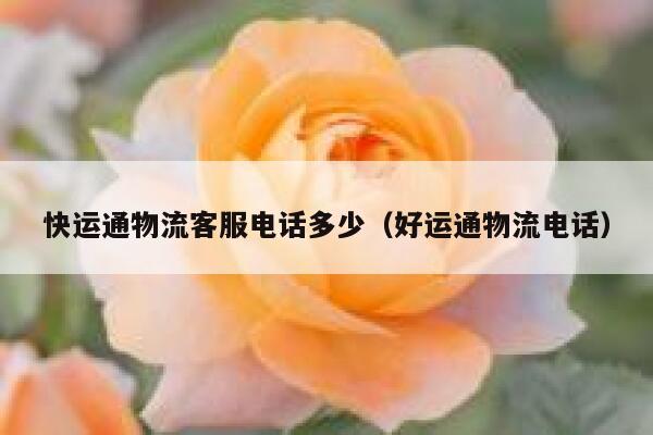 快运通物流客服电话多少（好运通物流电话） 第1张