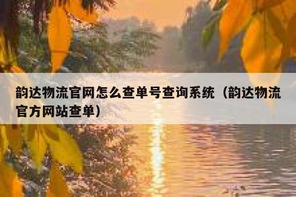 韵达物流官网怎么查单号查询系统（韵达物流官方网站查单） 第1张