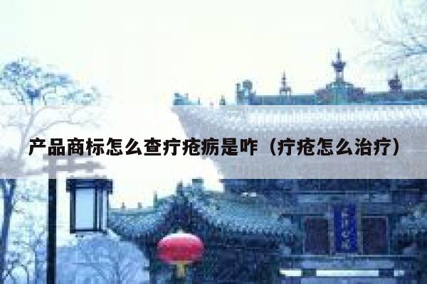 产品商标怎么查疔疮疬是咋（疔疮怎么治疗） 第1张
