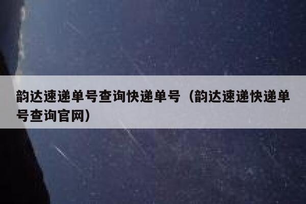 韵达速递单号查询快递单号（韵达速递快递单号查询官网） 第1张