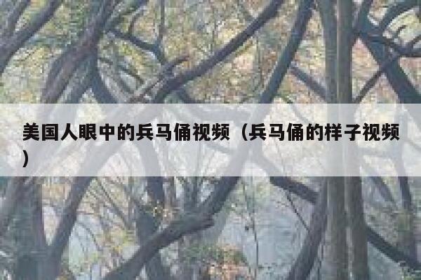 美国人眼中的兵马俑视频（兵马俑的样子视频） 第1张