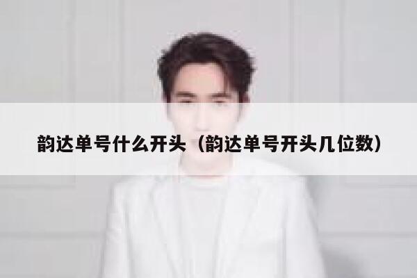 韵达单号什么开头（韵达单号开头几位数） 第1张