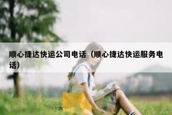 顺心捷达快运公司电话（顺心捷达快运服务电话） 第1张