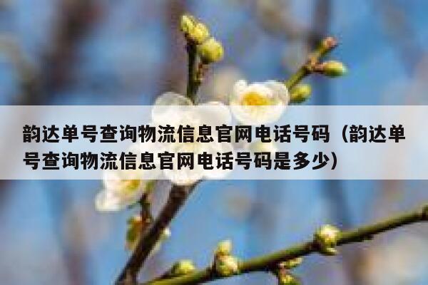 韵达单号查询物流信息官网电话号码（韵达单号查询物流信息官网电话号码是多少） 第1张