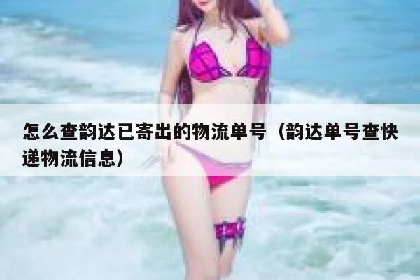 怎么查韵达已寄出的物流单号(韵达单号查快递物流信息) 第1张 怎么查韵达已寄出的物流单号(韵达单号查快递物流信息) 第1张