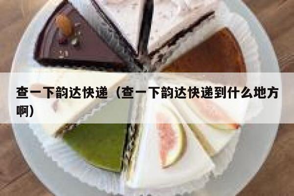 查一下韵达快递（查一下韵达快递到什么地方啊） 第1张