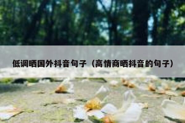 低调晒国外抖音句子（高情商晒抖音的句子） 第1张