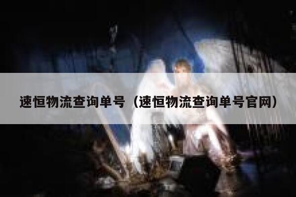 速恒物流查询单号(速恒物流查询单号官网) 第1张 速恒物流查询单号(速恒物流查询单号官网) 第1张