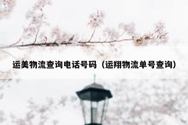 运美物流查询电话号码(运翔物流单号查询) 第1张 运美物流查询电话号码(运翔物流单号查询) 第1张