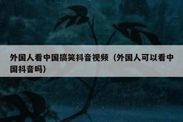 外国人看中国搞笑抖音视频(外国人可以看中国抖音吗) 第1张 外国人看中国搞笑抖音视频(外国人可以看中国抖音吗) 第1张