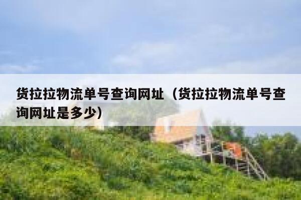货拉拉物流单号查询网址（货拉拉物流单号查询网址是多少） 第1张