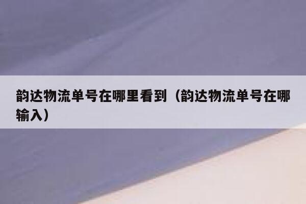 韵达物流单号在哪里看到（韵达物流单号在哪输入） 第1张