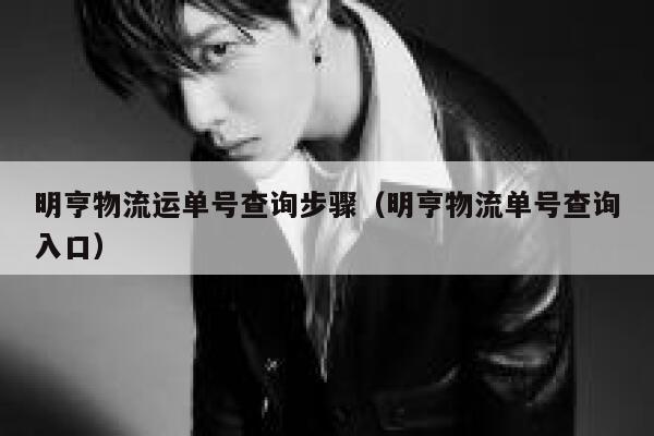 明亨物流运单号查询步骤（明亨物流单号查询入口） 第1张