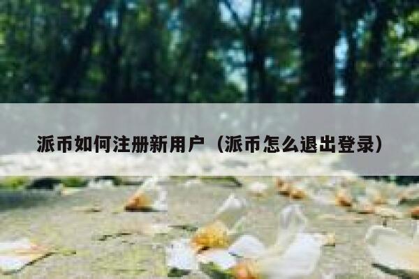 派币如何注册新用户(派币怎么退出登录) 第1张 派币如何注册新用户(派币怎么退出登录) 第1张
