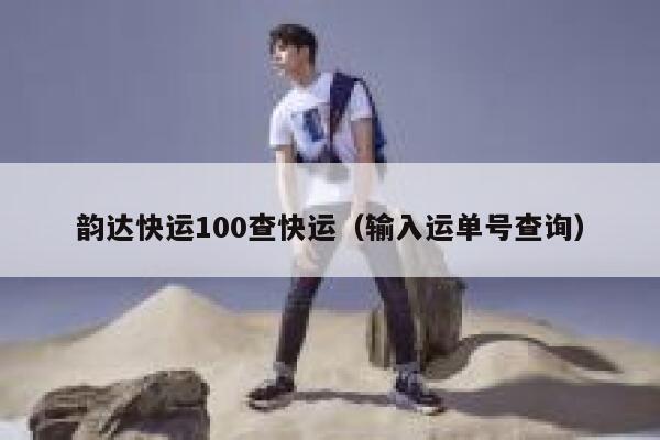 韵达快运100查快运（输入运单号查询） 第1张