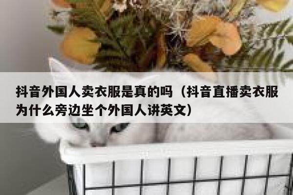 抖音外国人卖衣服是真的吗（抖音直播卖衣服为什么旁边坐个外国人讲英文） 第1张