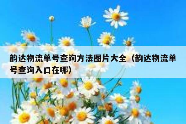 韵达物流单号查询方法图片大全（韵达物流单号查询入口在哪） 第1张