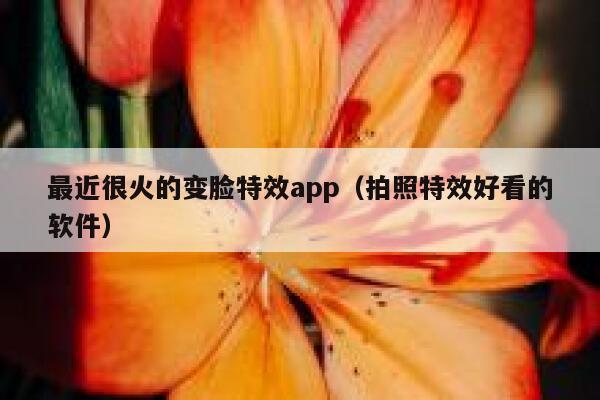 最近很火的变脸特效app（拍照特效好看的软件） 第1张