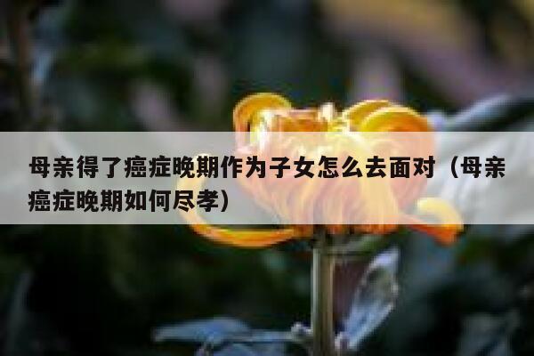 母亲得了癌症晚期作为子女怎么去面对（母亲癌症晚期如何尽孝） 第1张