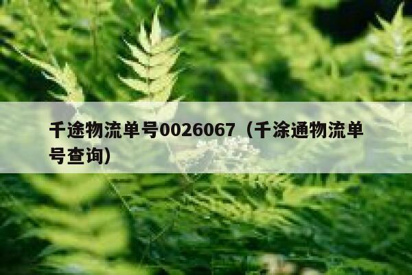 千途物流单号0026067（千涂通物流单号查询） 第1张