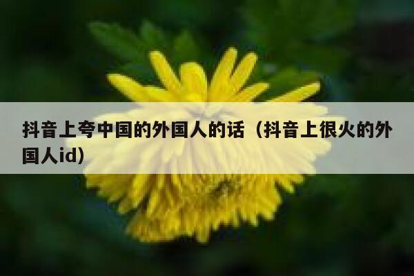 抖音上夸中国的外国人的话(抖音上很火的外国人id) 第1张 抖音上夸中国的外国人的话(抖音上很火的外国人id) 第1张