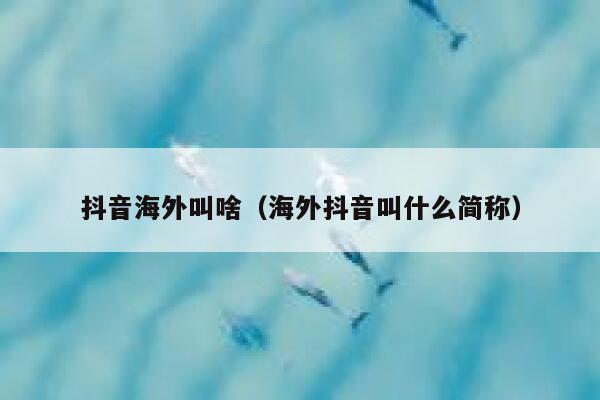 抖音海外叫啥（海外抖音叫什么简称） 第1张
