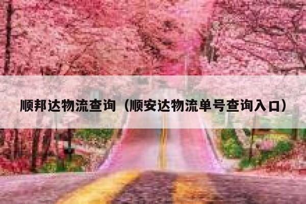 顺邦达物流查询（顺安达物流单号查询入口） 第1张