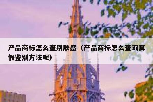 产品商标怎么查别肤感(产品商标怎么查询真假鉴别方法呢) 第1张 产品商标怎么查别肤感(产品商标怎么查询真假鉴别方法呢) 第1张