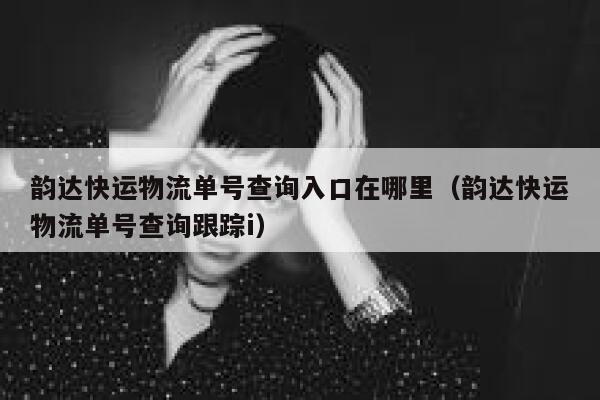 韵达快运物流单号查询入口在哪里（韵达快运物流单号查询跟踪i） 第1张