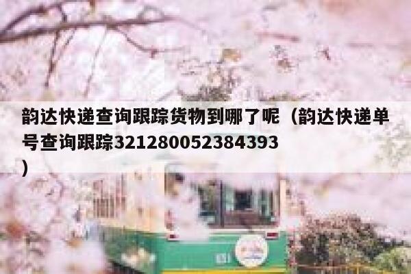 韵达快递查询跟踪货物到哪了呢(韵达快递单号查询跟踪321280052384393) 第1张 韵达快递查询跟踪货物到哪了呢(韵达快递单号查询跟踪321280052384393) 第1张