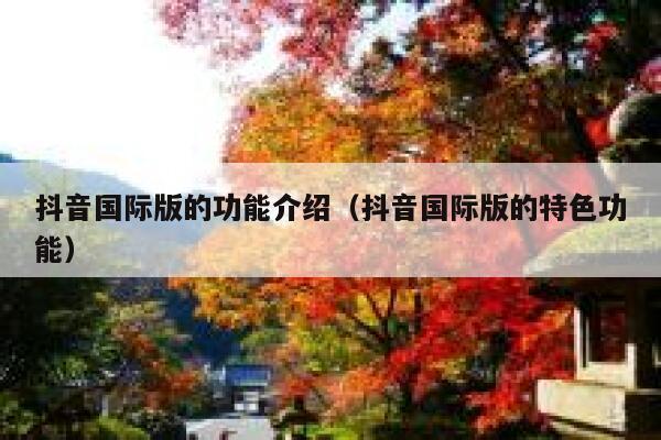 抖音国际版的功能介绍(抖音国际版的特色功能) 第1张 抖音国际版的功能介绍(抖音国际版的特色功能) 第1张