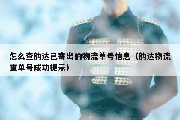 怎么查韵达已寄出的物流单号信息（韵达物流查单号成功提示） 第1张