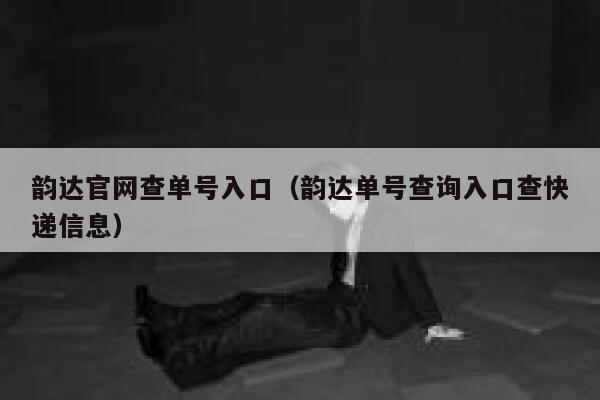 韵达官网查单号入口（韵达单号查询入口查快递信息） 第1张