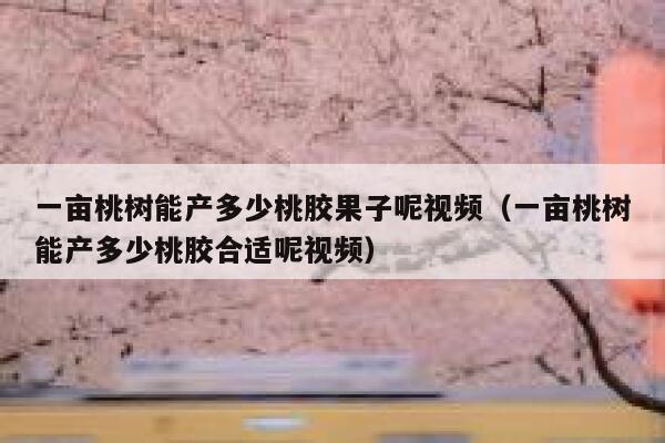 一亩桃树能产多少桃胶果子呢视频（一亩桃树能产多少桃胶合适呢视频） 第1张