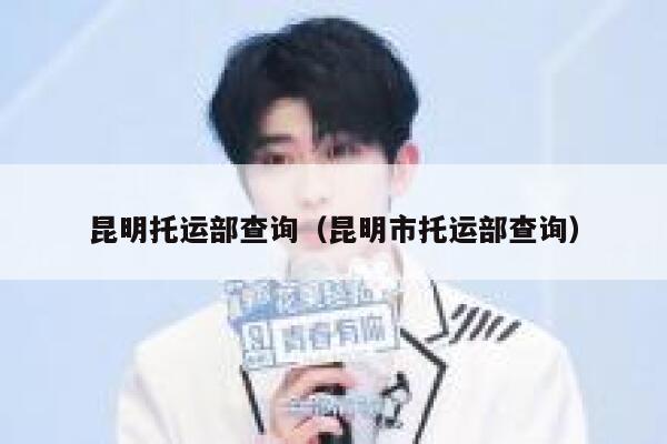 昆明托运部查询(昆明市托运部查询) 第1张 昆明托运部查询(昆明市托运部查询) 第1张