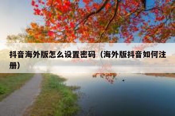 抖音海外版怎么设置密码（海外版抖音如何注册） 第1张